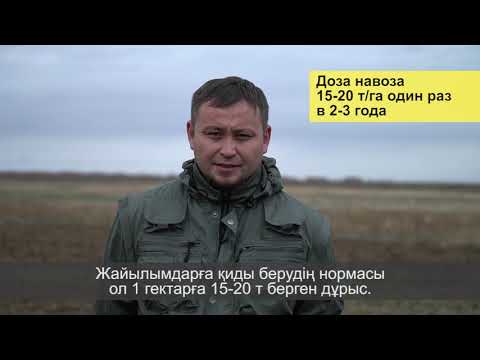 Поверхностное улучшение пастбищ