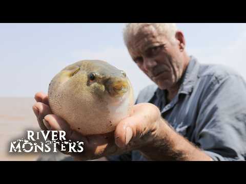 River Monsters Full Episode - Season 7, Episode 1 - Mekong Mutilator
