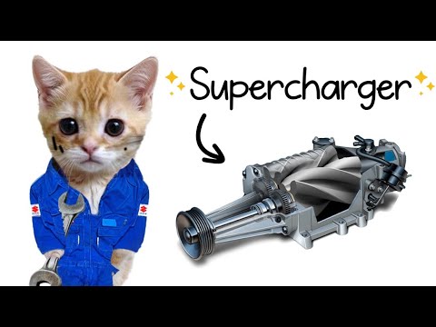 Supercharger Explained By Cats