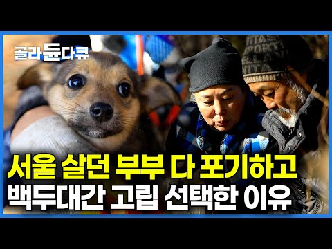 겨울이면 TV도 끊기고, 진짜 고립이 시작된다｜편한 서울 생활 포기하고 백두대간에 단둘이 고립 택한 부부｜한국기행｜#골라듄다큐
