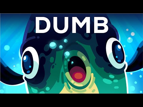 The Dumbest Animal Alive