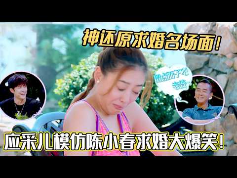 应采儿神还原求婚名场面！应采儿模仿陈小春求婚大爆笑！#陈小春 #应采儿 #妻子的浪漫旅行#综艺 #夫妻日常 #热门综艺 #情感 #娱乐 #八卦 #婚姻