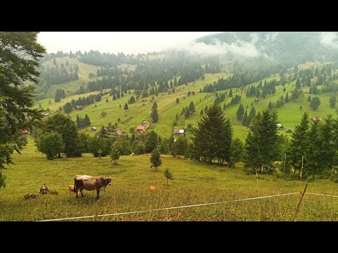 Romania - Ghimes - a very special Carpathian village