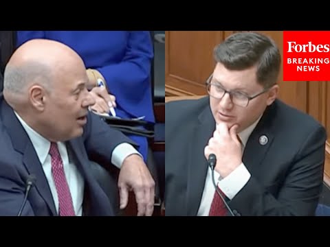 'I Wish You'd Be More Mindful': LaTurner Admonishes Postmaster DeJoy In Tense Exchange