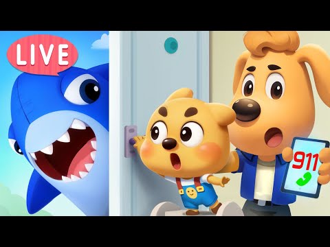 🔴LIVE | Knock Knock A Shark's at the Door | Useful Story | Safety Rules for Kids | Sheriff Labrador