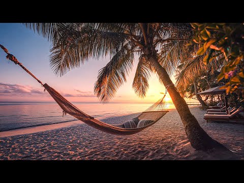 Chill Music for Work, Study & Relax – Sunset Vibes & Good Energy 🌴