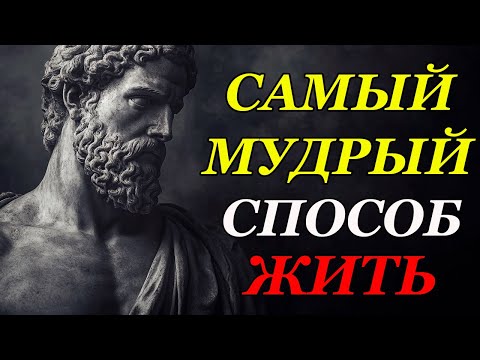 Почему жить просто — это лучшее, что ты можешь для себя сделать — Диоген | Стоицизм и философия