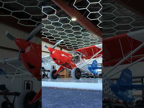 I Reviewed Trent Palmer’s $230,000 FreedomFox #shorts #youtubeshorts #aviation #pilot #avgeek #usa