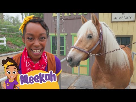Cowgirl Meekah Meets Horses! 🐴| Learn Animals | Educational Videos for Kids