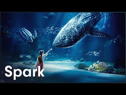 2.6 Million Gallons: Building The Largest Mega-Aquarium In Europe | Nausicaá