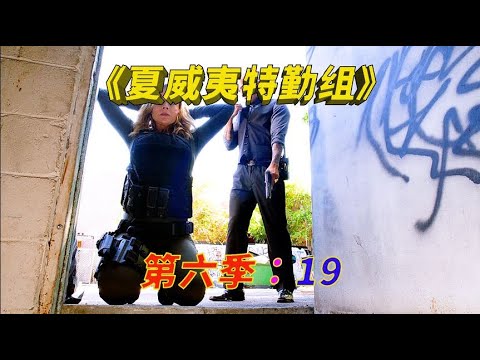 一口气看完经典高分犯罪美剧《夏威夷特勤组》第六季全集，一集一个大案要案！