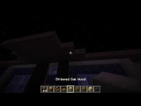 Minecraft survival