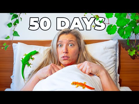 I Turned my Bedroom into a Giant Ecosystem...