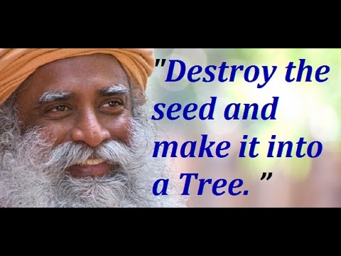 Sadhguru- Sacred Seed, let the seed bocome a tree