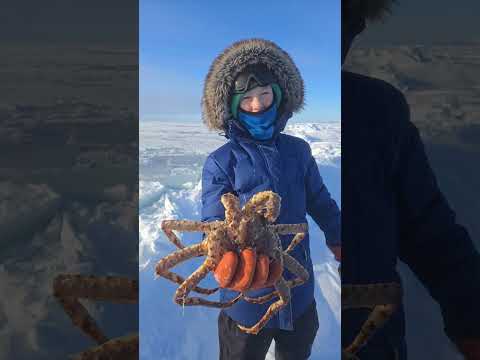 King Crab on the edge of the Berring Sea