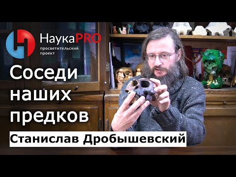 Соседи наших предков: мирные и опасные – Станислав Дробышевский | Лекции по антропологии | Научпоп