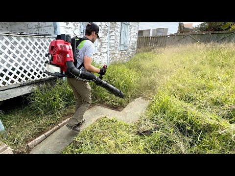 I almost MET MY MATCH when I decided to take on my TOUGHEST lawn yet