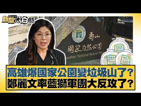 高雄爆國家公園變垃圾山了？ 鄭麗文率藍獅軍團大反攻了？【#新聞大白話】20251028-8｜#謝寒冰 #謝龍介 #何景榮
