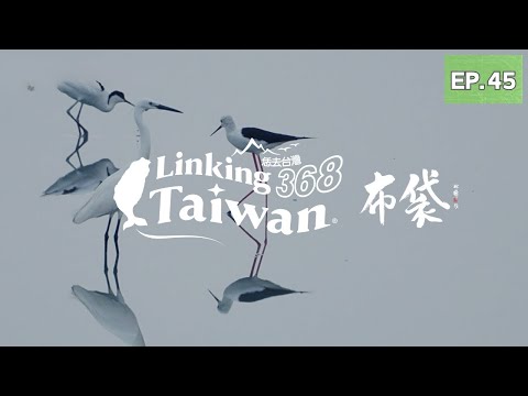 【嘉義布袋】EP45 完整版｜Linking368Taiwan