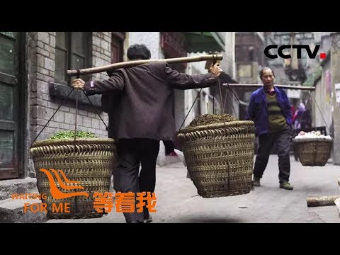 《等着我 第四季》 “棒棒爸爸”一肩挑起全家 坚强姐姐找弟弟帮爸爸圆梦；从小流浪街头两次放弃寻亲 然而他记忆中的爸妈竟也不是亲生父母 20190319 | CCTV