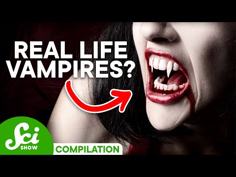 Vampires Could Be Real and Here's Why