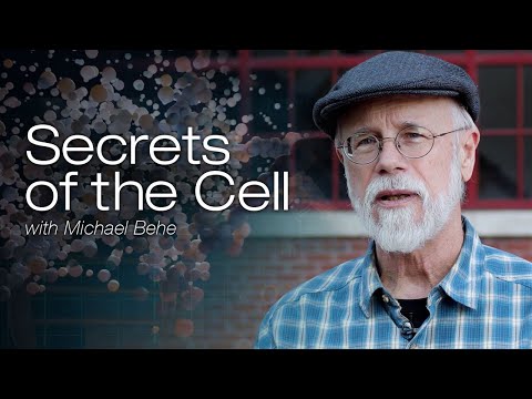 Secrets of the Cell with Michael Behe (Season 1 Compilation)