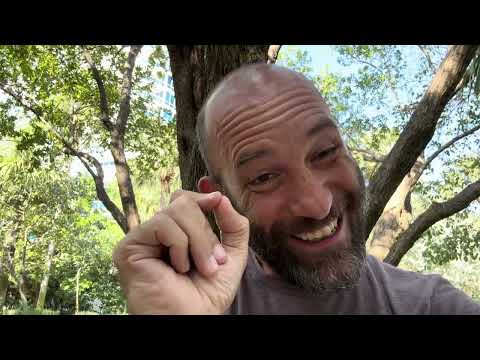 Question: What is False Equivalence in Tech