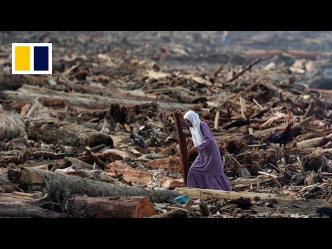 Indonesian mother and child cling to tree to survive floods