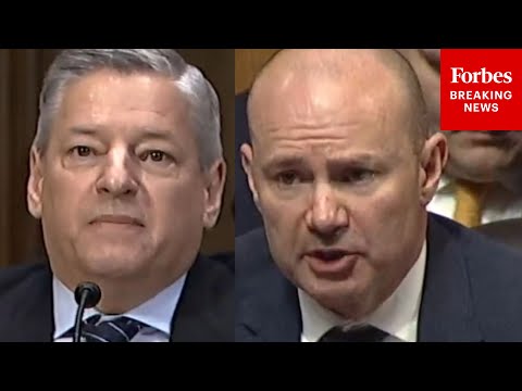 Lee To Sarandos: Why Does Netflix Want Warner Bros When It's Spending Billions On Its Own Content?