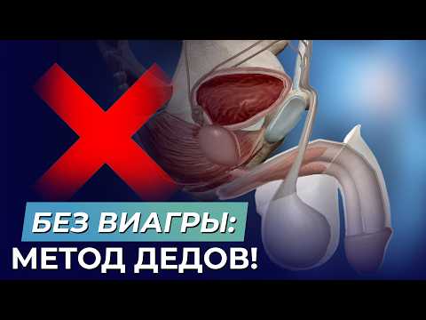 Мужская МОЩНАЯ ЭРЕКЦИЯ в любом возрасте! Эти советы повысят твою потенцию!