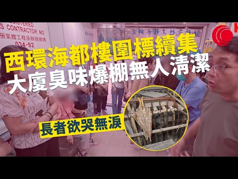 一線搜查｜西環海都樓圍標續集 三無大廈長者欲哭無淚  大廈臭味爆棚無人清潔｜香港圍標全面揭密 過億利息往來玩殘小市民｜北角書局街建築黑點｜337集｜有線新聞 黃愷怡 梁嘉琪｜HOY TV 77台