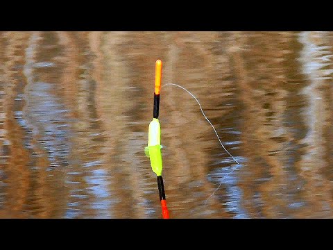 Рыбалка на ПОПЛАВОК поздней осенью! Поклевки крупным планом