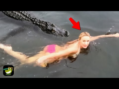 Funniest Animal Videos Ever Caught on Camera! #9