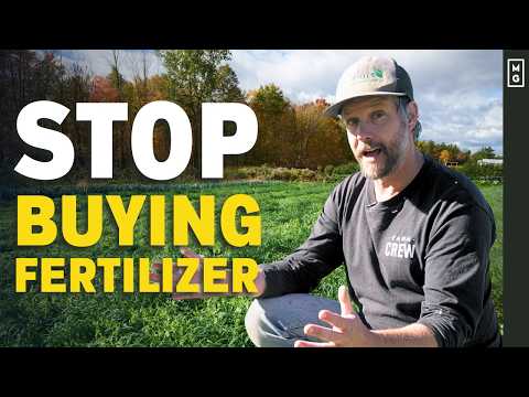 Why You NEED Cover Crops in Your Market Garden | Grow Your Own Fertilizer!