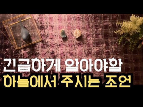 하늘에서 긴급하게 주시는 조언