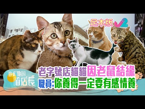 【足本睇】他和她的喵店長第3集 | 新界喵店長大集合！｜J2｜中文字幕
