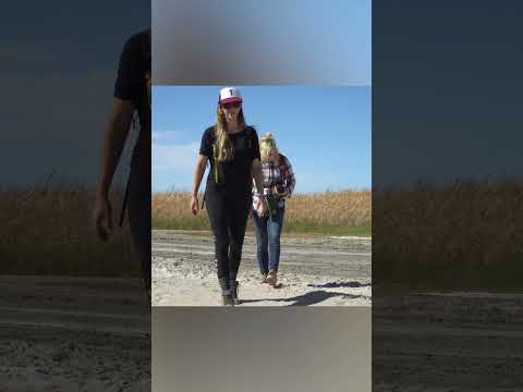 We found MUD VOLCANOS!