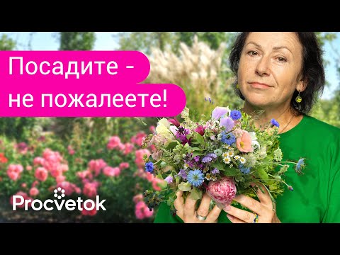 5 ЦВЕТОВ, КОТОРЫЕ ОБЯЗАТЕЛЬНО ДОЛЖНЫ РАСТИ В КАЖДОМ САДУ!