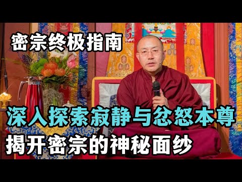 密宗修行的终极指南：深入探索寂静与忿怒本尊，深入探索佛的坛城与内在含义！揭开密宗的神秘面纱！