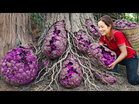 Harvesting Unusual Colored Wild Yam Cooking Boiled Yam | Selling Out Fast at the Village Market
