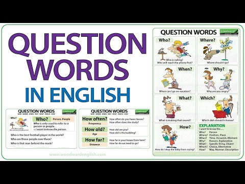 Question Words in English