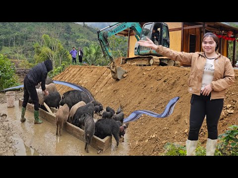 FULL VIDEO:The driver and the girl maintained the excavator and leveled the ground. @Taixevungcao