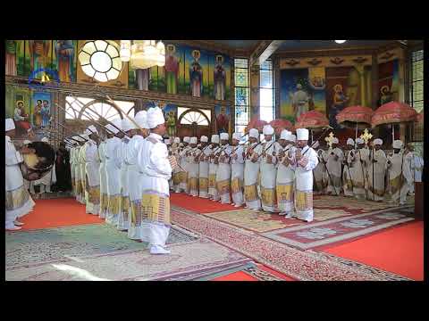 ርዕይዎ ኖሎት በካቴድራሉ ሊቃውንት