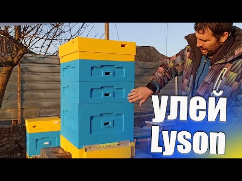 Обзор на улей lyson. Корпусный  улей на 10 рамок для пчел лысонь