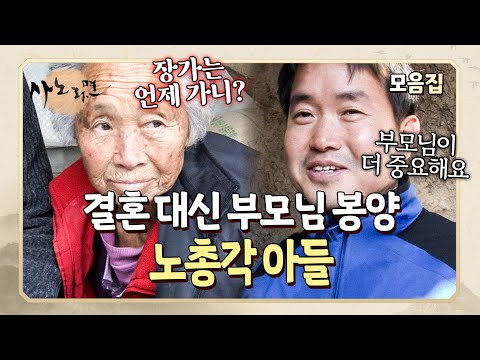 효자인 듯 효자 아닌 효자 같은 노총각 아들 모음집 | 사노라면