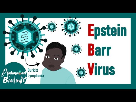 Epstein–Barr virus (EBV) | Viral structure, pathogeneis, diagnosis and treatment of EBV