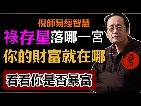 倪海廈：祿存星落哪一宮，你的財富就在哪，看看你是否暴富#倪海廈#易經#易經智慧#易經人生#命理智慧