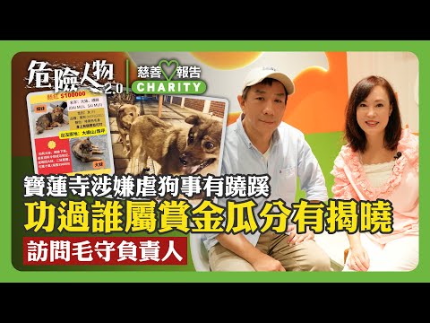 💚慈善報告｜寶蓮寺涉嫌虐狗事有蹺蹊  功過誰屬賞金瓜分有揭曉｜訪問毛守負責人｜危險人物2.0