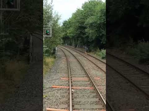 Train chases deer. 🦌