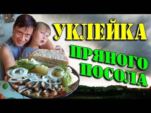 Уклейка пряного посола. Уклейка вкуснее чем килька. Рецепт вкуснейшей уклейки.